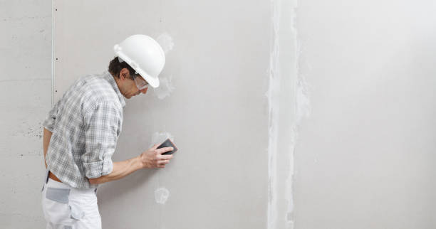 Best Forensic Mold Investigation  in Kilauea, HI