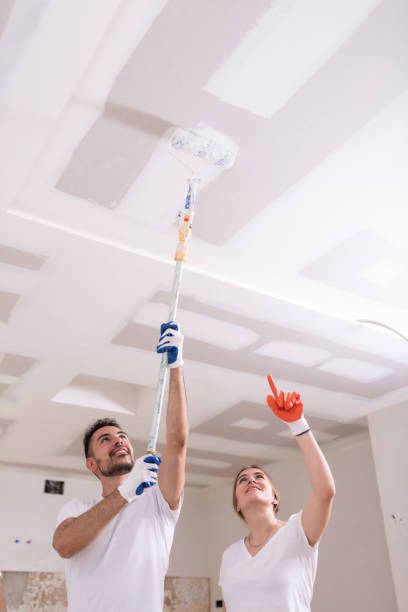 Best Attic Mold Removal  in Kilauea, HI