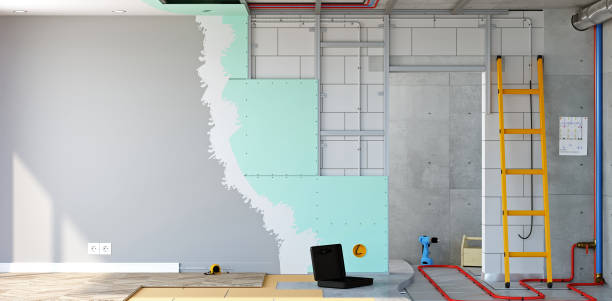 Best Mold Remediation for Healthcare Facilities  in Kilauea, HI