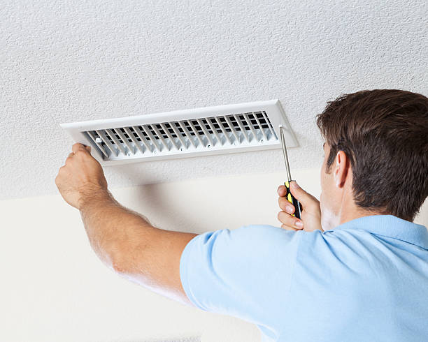 Best Mold Documentation for Insurance Claims  in Kilauea, HI