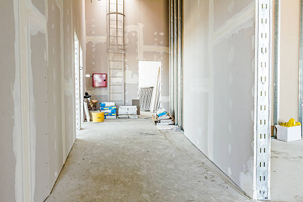 Mold Remediation for Vacation Homes in Kilauea, HI