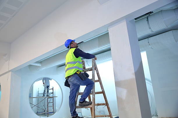 Best Commercial Mold Inspection  in Kilauea, HI