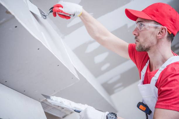 Best Mold Damage Restoration  in Kilauea, HI